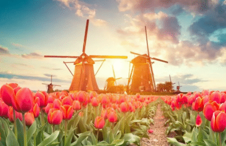 WISATA BELANDA