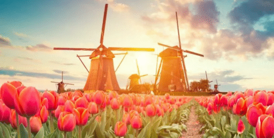 WISATA BELANDA