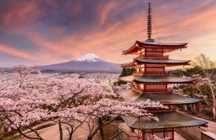 Wisata Jepang Terbaik: Menikmati Mekarnya Sakura dan Tradisi Kuno