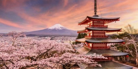 Wisata Jepang Terbaik: Menikmati Mekarnya Sakura dan Tradisi Kuno