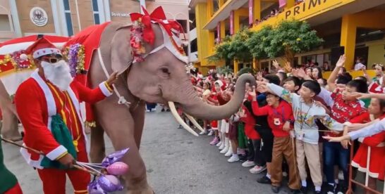 4 Negara Asia Rekomended Saat Liburan Natal & Tahun Baru